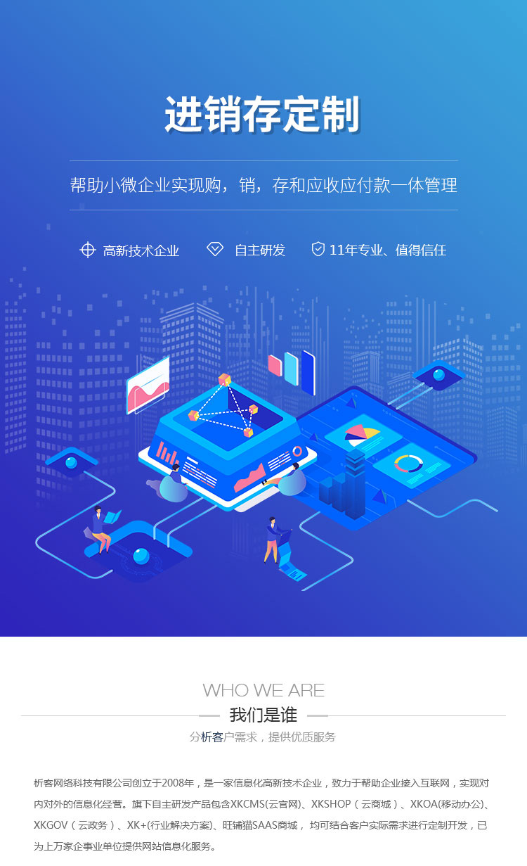 进销存系统定制:打造企业的高效运营工具
