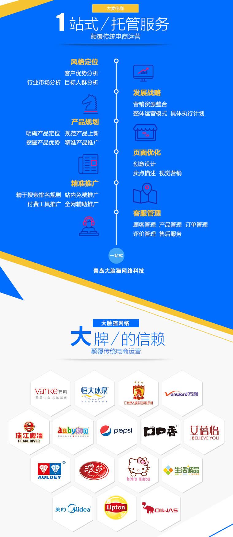 网络推广代运营